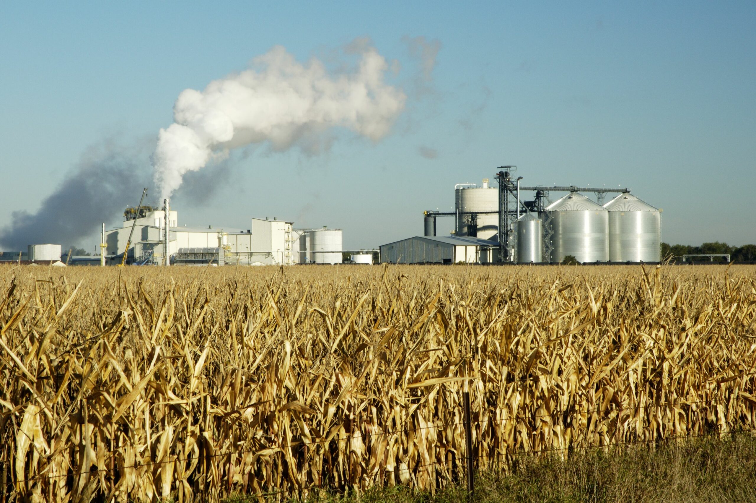 Discover 5 Top Startups advancing Bioethanol Production