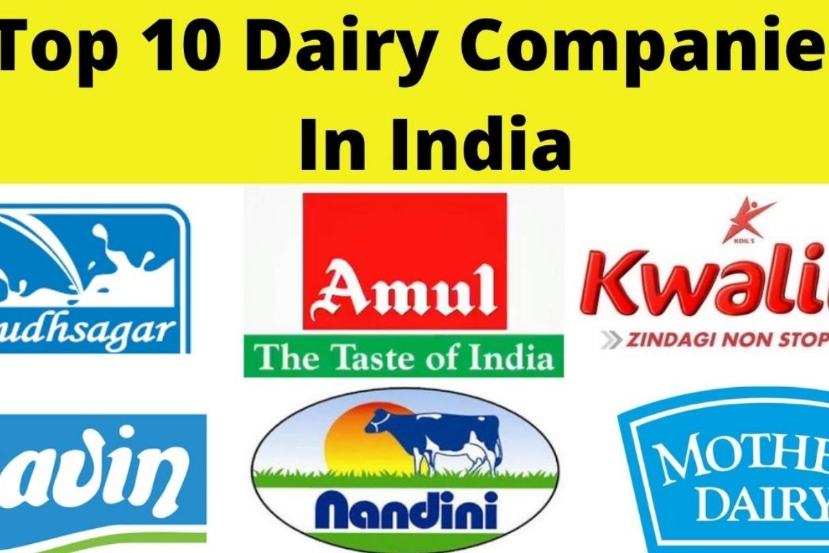 dairy product business plan in india