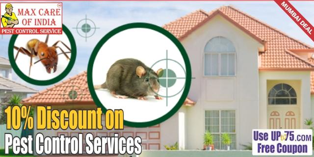 Rodent Control Service at Rs 2000/service in Gurugram