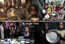 Congo’s Hunger Crisis: 25 Million at Risk Amid Shocking Living Conditions!