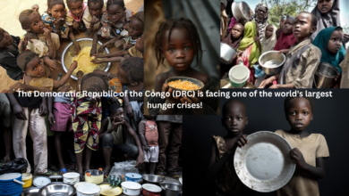 Congo’s Hunger Crisis: 25 Million at Risk Amid Shocking Living Conditions!