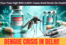 Dengue Crisis In Delhi: Sees Four-Year High With 2,400+ Cases Amid Strain On Healthcare!