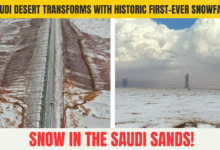 Snow In The Sands: Saudi Desert Transforms With Historic First-Ever Snowfall!