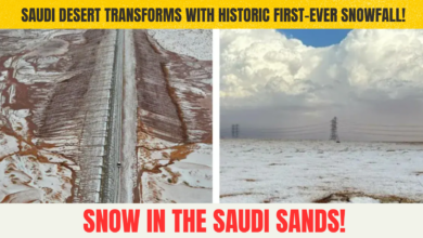 Snow In The Sands: Saudi Desert Transforms With Historic First-Ever Snowfall!