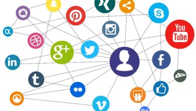 Social Media Platforms for Business