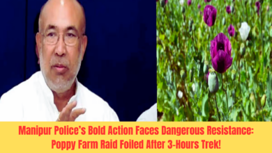 Manipur Police’s Bold Action Faces Dangerous Resistance: Poppy Farm Raid Foiled After 3-Hours Trek!