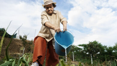 Water Conservation in Agriculture