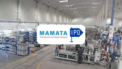 Mamata Machinery IPO surge