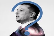 Elon Musk and Germany Elections