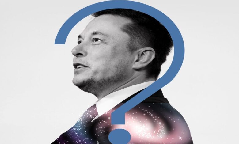 Elon Musk and Germany Elections