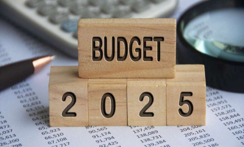 CII Wishlist for 2025 Budget