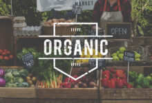 Organic Food Brands