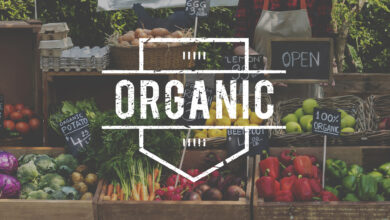 Organic Food Brands